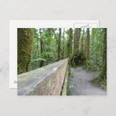 ドミニカレインフォレストビュー ポストカード (正面/裏面)