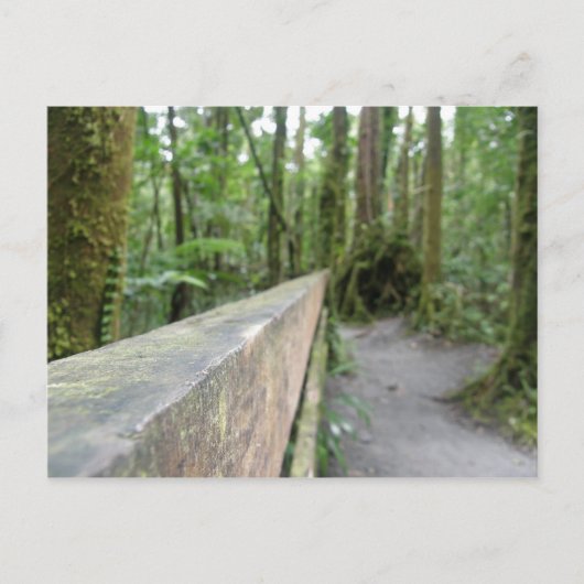 ドミニカレインフォレストビュー ポストカード (正面)