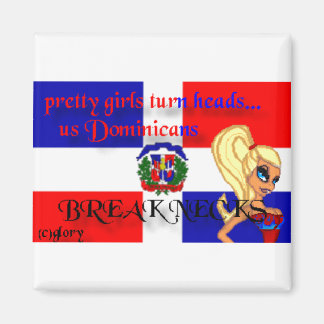 ドミニカンブレイクネックスススクエアマグネット マグネット