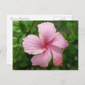 ドミニカ共和国の花 ポストカード (正面/裏面)