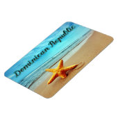 ドミニカ共和国ヒトデ マグネット (左側)