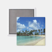 ドミニカ共和国ビーチ磁石 マグネット (正面/裏面)