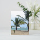 ドミニカ共和国ビーチ ポストカード (スタンド正面)