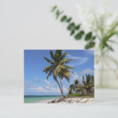 ドミニカ共和国ビーチ ポストカード (スタンド正面)