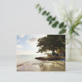 ドミニカ共和国共和国プンタカンタビーチ ポストカード (スタンド正面)