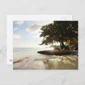 ドミニカ共和国共和国プンタカンタビーチ ポストカード (正面/裏面)