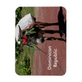 ドミニカ共和国磁石 マグネット (縦)