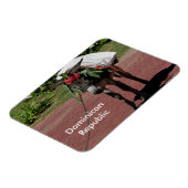 ドミニカ共和国磁石 マグネット (左側)