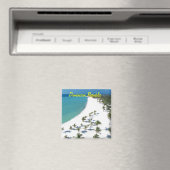 ドミニカ共和国磁石 マグネット (インサイチュ (食洗機))