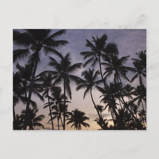 ドミニカ共和国、サマナ半島、ラス2 ポストカード (正面)