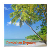 ドミニカ共和国 タイル (正面)