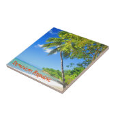 ドミニカ共和国 タイル (側面)