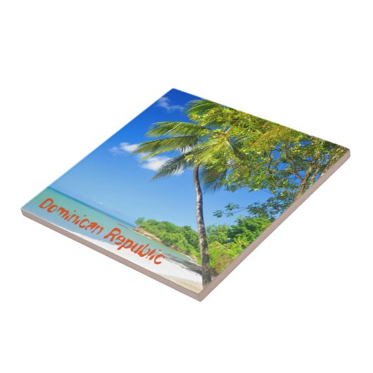 ドミニカ共和国 タイル (側面)