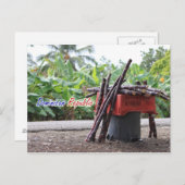 ドミニカ共和国 ポストカード (正面/裏面)