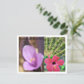 ドミニカ共和国 ポストカード (スタンド正面)