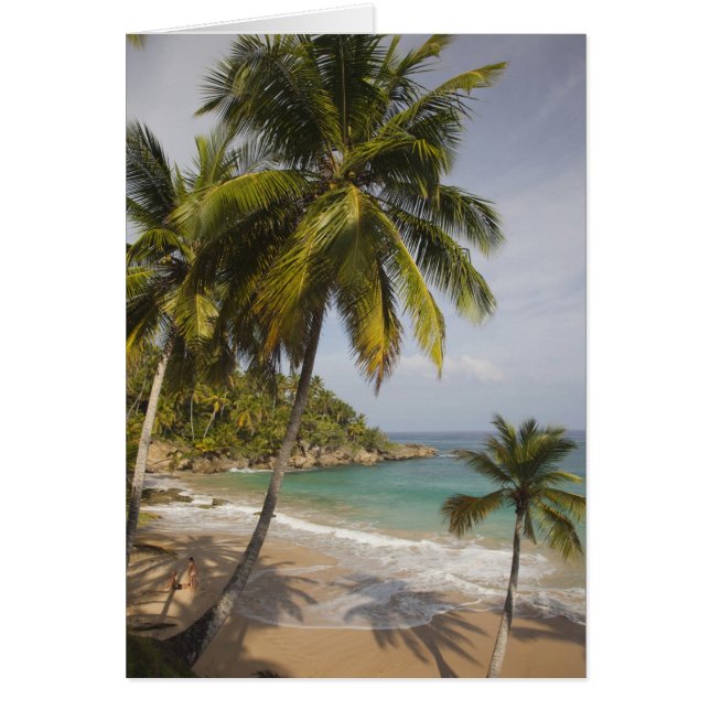 ドミニカ共和国、北海岸、アブレウ、プラヤ (正面)