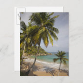 ドミニカ共和国、北海岸、アブレウ、プラヤ ポストカード (正面/裏面)