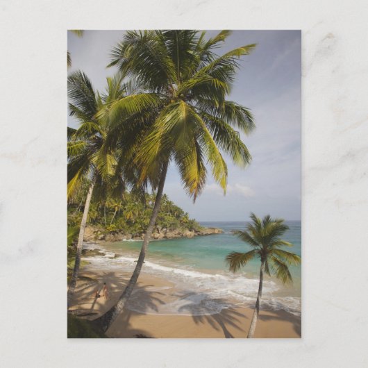 ドミニカ共和国、北海岸、アブレウ、プラヤ ポストカード (正面)