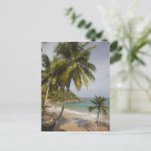 ドミニカ共和国、北海岸、アブレウ、プラヤ ポストカード (スタンド正面)