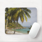 ドミニカ共和国、北海岸、アブレウ、プラヤ マウスパッド (マウス)