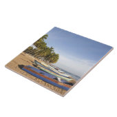 ドミニカ共和国、北海岸、ナグア、プラヤ タイル (側面)