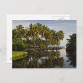 ドミニカ共和国、北海岸、ナグア、プラヤ ポストカード (正面/裏面)