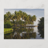 ドミニカ共和国、北海岸、ナグア、プラヤ ポストカード (正面)