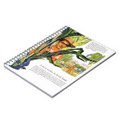 ドミニカ共和国、杖砂糖のプランテーション、 ノートブック (左側)