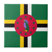 ドミニカ国旗 タイル (正面)