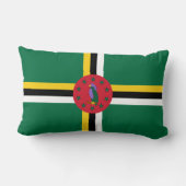 ドミニカ愛国国旗で色を変えて夢 ランバークッション (裏面)