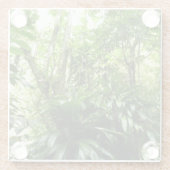 ドミニカ熱帯緑の熱帯雨林I自然 ガラスコースター (裏面)