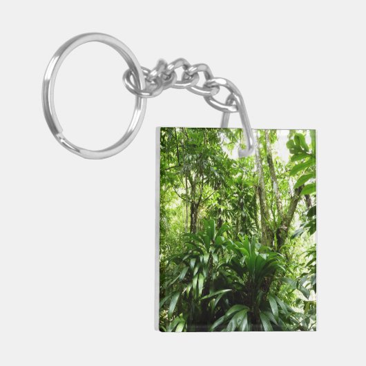 ドミニカ熱帯緑の熱帯雨林I自然 キーホルダー (正面左)