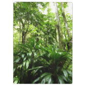ドミニカ熱帯緑の熱帯雨林I自然 クリップボード (裏面)