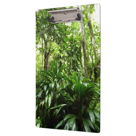 ドミニカ熱帯緑の熱帯雨林I自然 クリップボード (左)