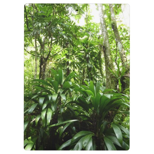 ドミニカ熱帯緑の熱帯雨林I自然 クリップボード (裏面)