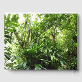 ドミニカ熱帯緑の熱帯雨林I自然 ゲストブック (裏面)