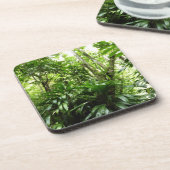 ドミニカ熱帯緑の熱帯雨林I自然 コースター (左側)