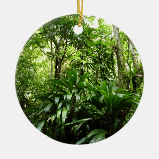 ドミニカ熱帯緑の熱帯雨林I自然 セラミックオーナメント (正面)