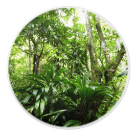 ドミニカ熱帯緑の熱帯雨林I自然 セラミックノブ