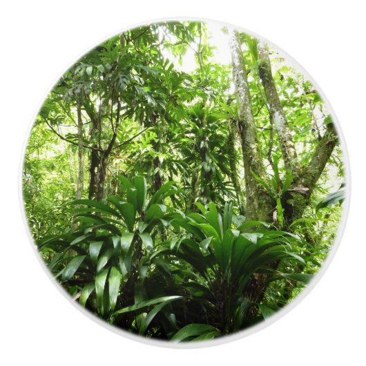 ドミニカ熱帯緑の熱帯雨林I自然 セラミックノブ (正面)