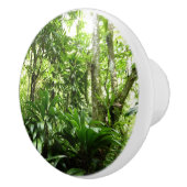 ドミニカ熱帯緑の熱帯雨林I自然 セラミックノブ (右)