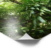 ドミニカ熱帯緑の熱帯雨林I自然 フォトプリント (角)