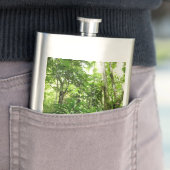 ドミニカ熱帯緑の熱帯雨林I自然 フラスク (インサイチュ)