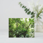 ドミニカ熱帯緑の熱帯雨林I自然 ポストカード (スタンド正面)