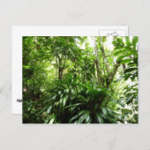 ドミニカ熱帯緑の熱帯雨林I自然 ポストカード (正面/裏面)