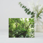 ドミニカ熱帯緑の熱帯雨林I自然 ポストカード (スタンド正面)