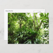 ドミニカ熱帯緑の熱帯雨林I自然 ポストカード (正面/裏面)