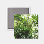 ドミニカ熱帯緑の熱帯雨林I自然 マグネット (正面/裏面)