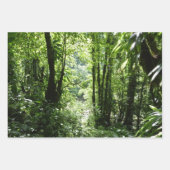 ドミニカ熱帯緑の熱帯雨林I自然 ラッピングペーパーシート (正面3)