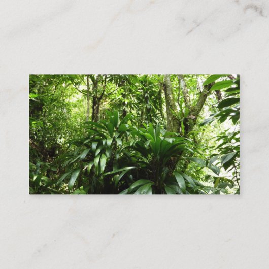 ドミニカ熱帯緑の熱帯雨林I自然 名刺 (裏面)